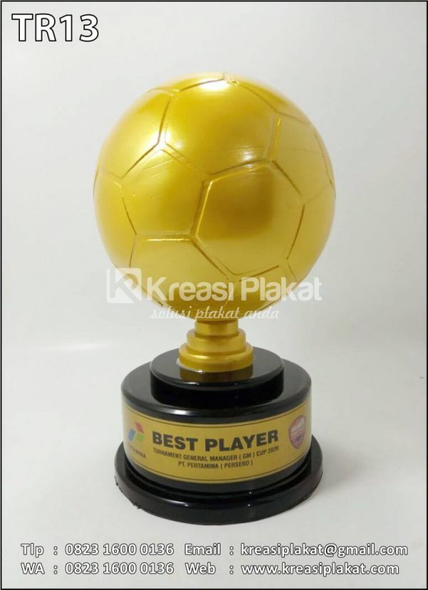 Trophy Best Player