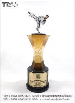 Piala Kejuaraan Taekwo...