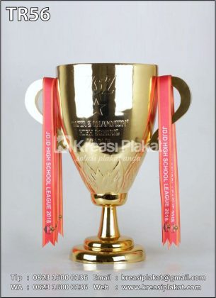 Trophy Dota 2 Champion HSL Piala Esport