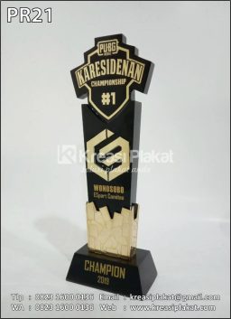 Plakat Resin PUBG Kare...