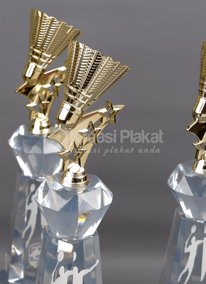 Read more about the article Trophy Custom Terbaik Pilih Desain Apa Saja yang Anda Mau