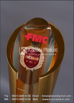 Piala FMC FMChamp