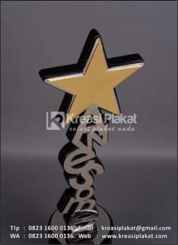 Trophy Award Awesome Star