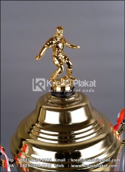 Piala Bergilir Abi Sug...