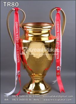 Piala Bergilir Turname...