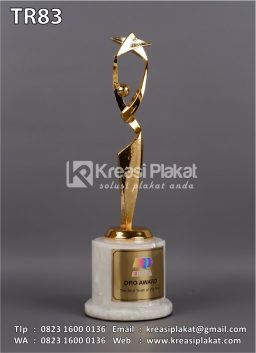 Piala Penghargaan DRO Award