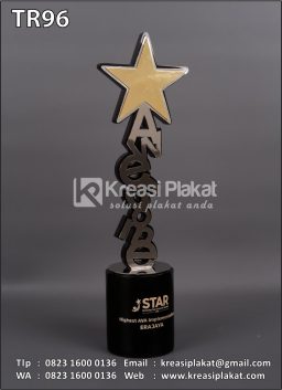 Trophy Award Awesome Star