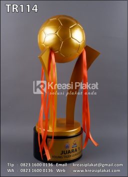 Piala Juara Young Tiger League U-14