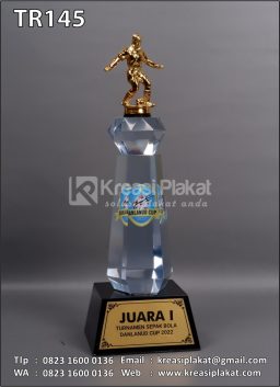 Piala Juara Turnamen Sepakbola Danlanud Cup 2022