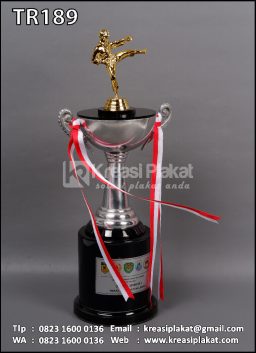 Piala Kejuaraan Karate Open Dandim Lebak Cup