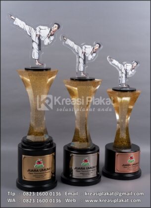 Set Piala Juara Umum Open Tournament Karate