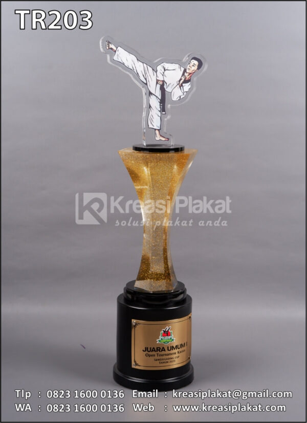 Piala Juara Umum Open Tournament Karate