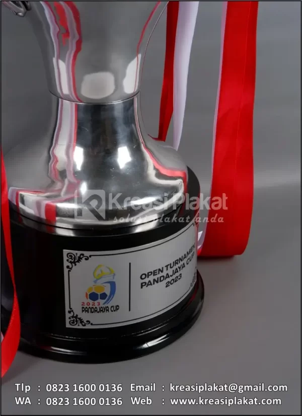 Detail Piala Open Turnamen Pandajaya Cup 2023