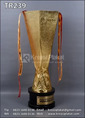 Piala Bergilir Putra Pemuda Cup