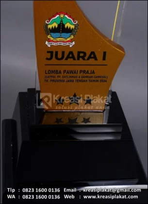 Detail Piala Juara Lomba Pawai Praja