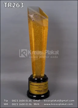 Piala Resin Inspiring Professional & Leadership Award