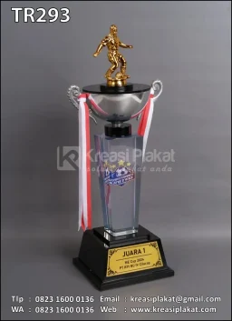 Piala Juara Sepak Bola ME Cup RU IV Cilacap