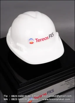 Souvenir Helm Tereos F...
