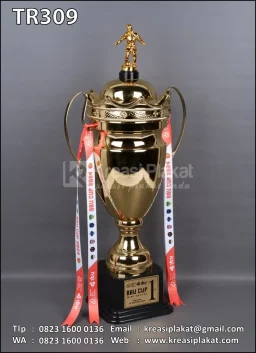 Piala BBU Cup Mini Soccer