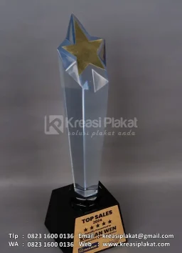 Piala Resin Top Sales