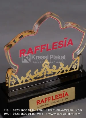 Plakat Akrilik Raf...